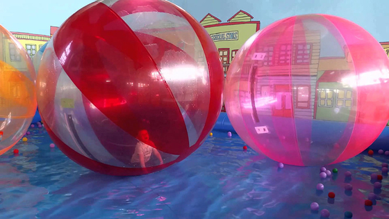 China Großes rosa Wasser-Pool-aufblasbares Wasser-gehender Ball für Erwachsene/Wasser-Rollen-Ball fournisseur