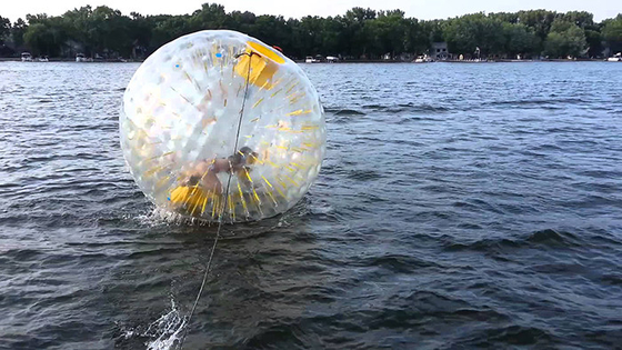 China Attraktives Küsten-aufblasbares Wasser-laufender Ball mit EN14960 3.0m x 2.0m Größe fournisseur