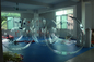 Sommer-Swimmingpool-aufblasbarer Mensch sortierter Hamster-Ball für Wasser-Partei fournisseur