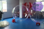 Erfreuliches aufblasbares Wasser-gehende Bälle/menschlicher aufblasbarer Hamster-Ball fournisseur