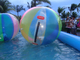 Großes rosa Wasser-Pool-aufblasbares Wasser-gehender Ball für Erwachsene/Wasser-Rollen-Ball fournisseur
