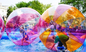 Großes rosa Wasser-Pool-aufblasbares Wasser-gehender Ball für Erwachsene/Wasser-Rollen-Ball fournisseur