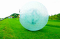 Dauerhaftes Logo Druckswimmingpool aufblasbarer Zorb-Ball für Wasser-Spiele fournisseur